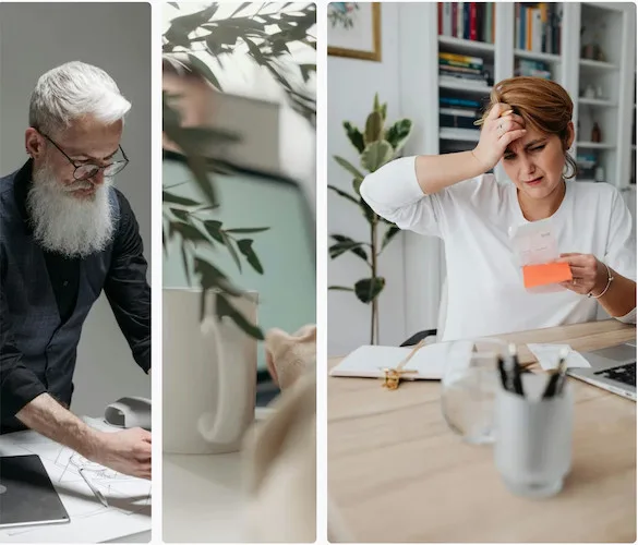 WordPress website assistent compilation